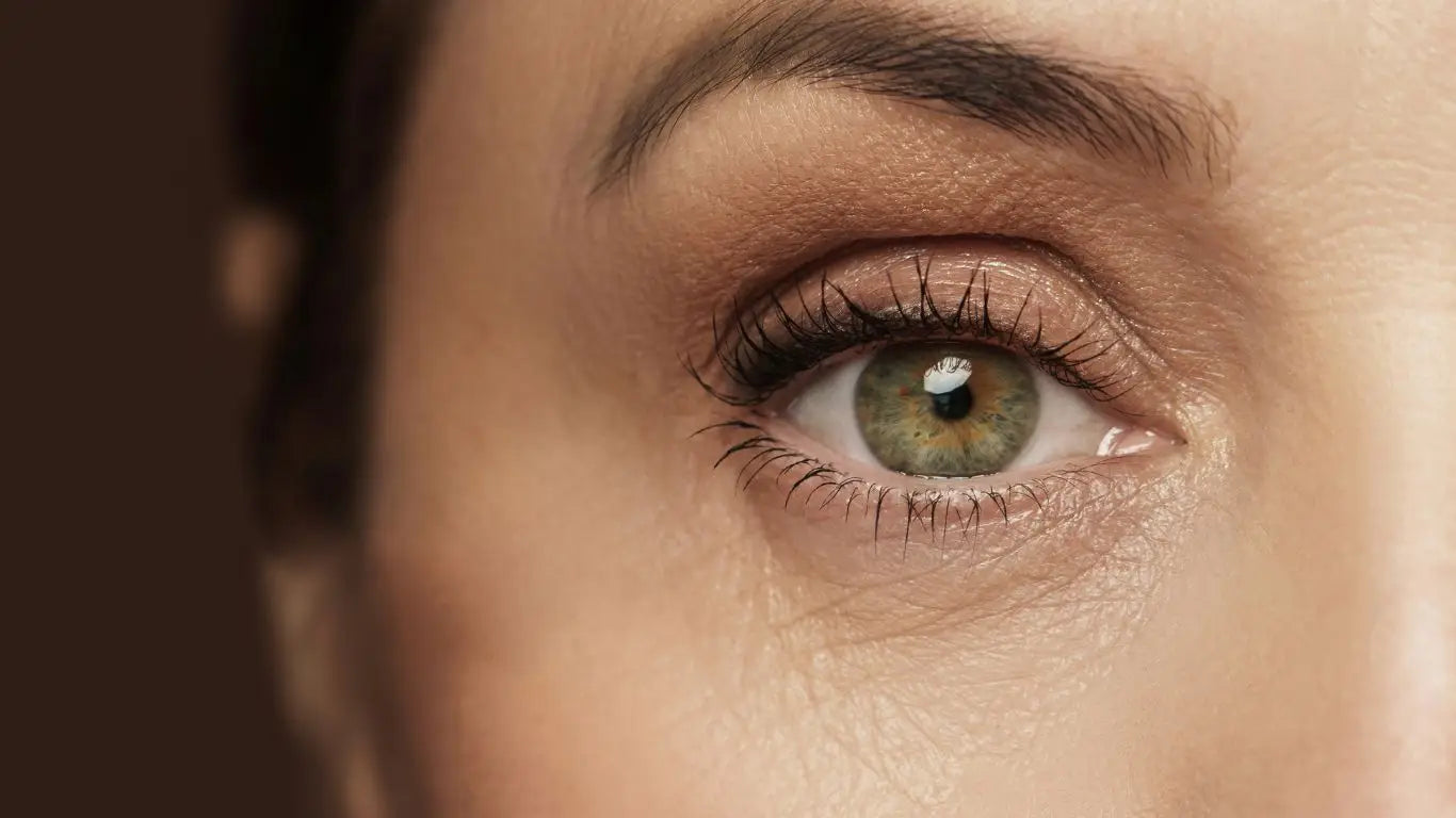 Hazel-Auge mit Make-up aus der Syis Regenerationslinie Collection