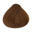 Haarfarbmuster Alfaparf Milano Evolution of the Color Blondes – Farbton 7.3