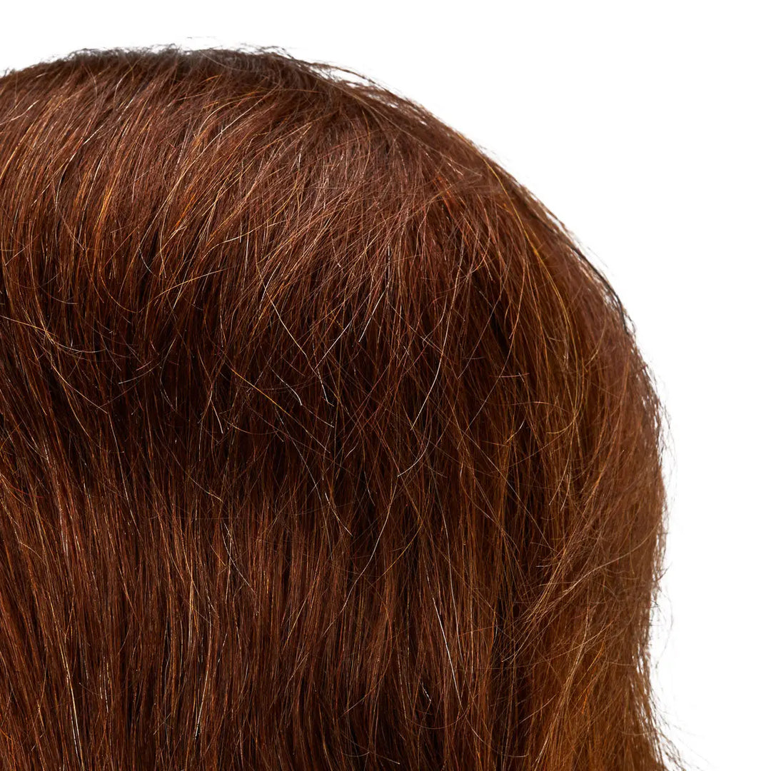 Friseur-Übungskopf von Gabbiano WZ3 mit Naturhaar Farbe 4# Länge 8’’