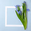 Blaue Blumen mit grünen Stielen im weißen Rahmen – Geschenk Gutschein