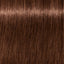 Schwarzkopf Igora vibrance 6-68 – Haarfarbmuster