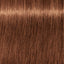 Schwarzkopf Igora vibrance 7-57 – Haarfarbmuster