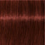 Schwarzkopf IGORA Royal Absolutes 5-80 – Haarfarbmuster
