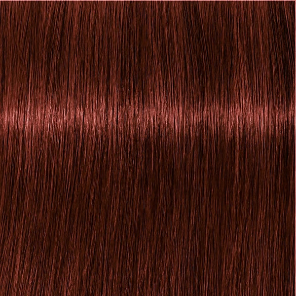 Schwarzkopf IGORA Royal Absolutes 5-80 – Haarfarbmuster