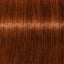 Schwarzkopf IGORA Royal Absolutes 6-70 – Haarfarbmuster