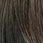 L�Or�al Professionnel Diarichesse 5.3 � Original-Haarfarbmuster
