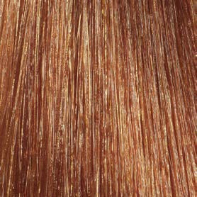 L�Or�al Professionnel Diarichesse 6.40 � Original-Haarfarbmuster
