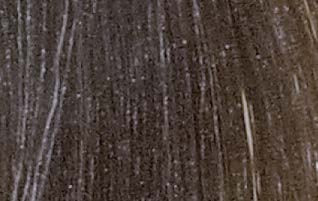 L�Or�al Professionnel Diarichesse 7.01 � Original-Haarfarbmuster