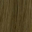 L�Or�al Professionnel Diarichesse 8.13 � Original-Haarfarbmuster