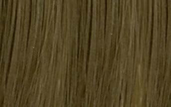 L�Or�al Professionnel Diarichesse 8.13 � Original-Haarfarbmuster