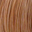 L�Or�al Professionnel Diarichesse 8.34 � Original-Haarfarbmuster