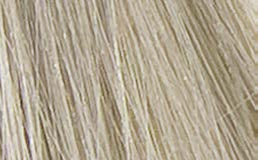 L�Or�al Professionnel Diarichesse 9.01 � Original-Haarfarbmuster
