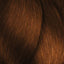 Gedrehtes kastanienbraunes Haar mit L’Oréal Professionnel Dialight Haartönung