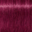 Schwarzkopf Igora Royal 0-89 – Haarfarbmuster