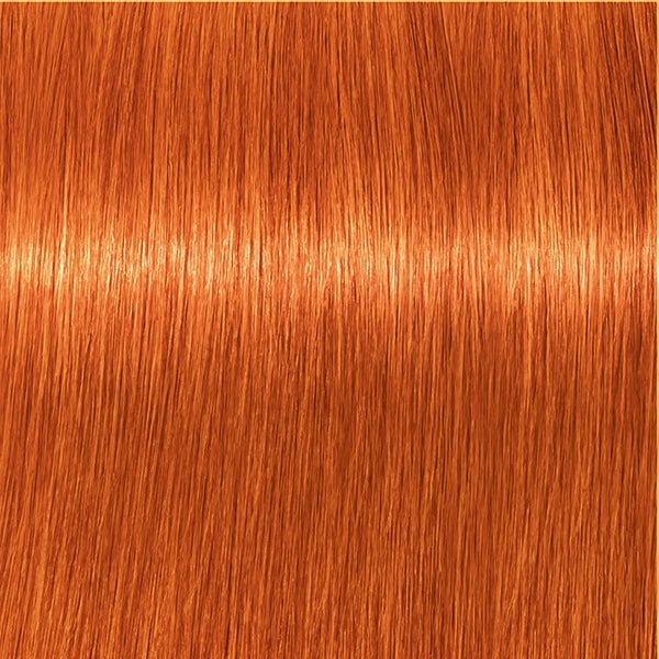 Schwarzkopf IGORA Royal 8-77 Hellblond Kupfer Extra – Haarfarbmuster