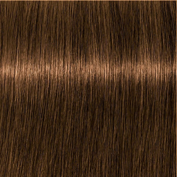 Schwarzkopf IGORA Royal Absolutes 6-50 Dunkelblond Gold Natur – Haarfarbmuster