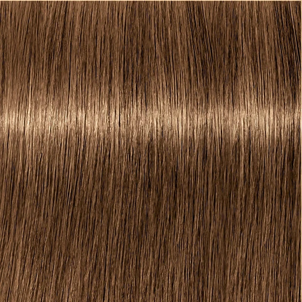Schwarzkopf IGORA Royal Absolutes 7-50 Mittelblond Gold Natur – Haarfarbmuster