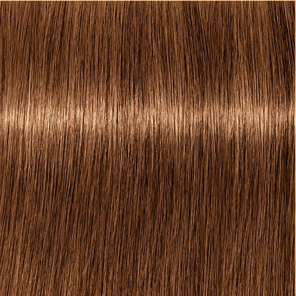 Schwarzkopf IGORA Royal Absolutes 8-60 Hellblond Schoko Natur – Haarfarbmuster