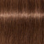 Schwarzkopf IGORA Zero AMM 6-6 Dunkelblond Schoko – Haarfarbmuster