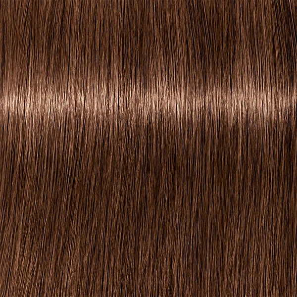Schwarzkopf IGORA Zero AMM 6-6 Dunkelblond Schoko – Haarfarbmuster