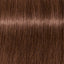 Schwarzkopf IGORA Zero AMM 6-68 Dunkelblond Schoko Rot – Haarfarbmuster