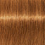 Schwarzkopf IGORA Zero AMM 7-67 Mittelblond Schoko Kupfer – Haarfarbmuster